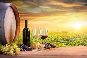 Red And White Wineglasses With Old Barrel And Botte And Grapes In Vineyard At Dust